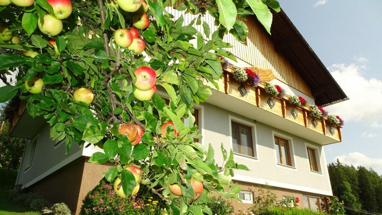 Ferienwohnung Greim Sankt Peter am Kammersberg エクステリア 写真
